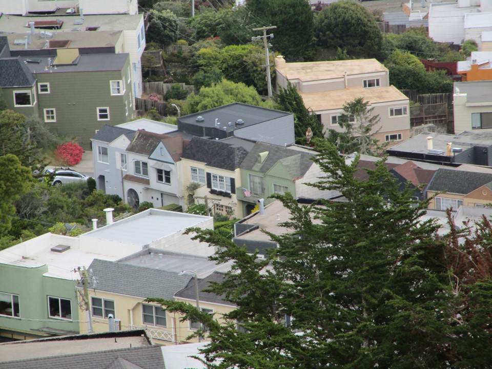 61376768_10218957723320373_7091612551888240640_n