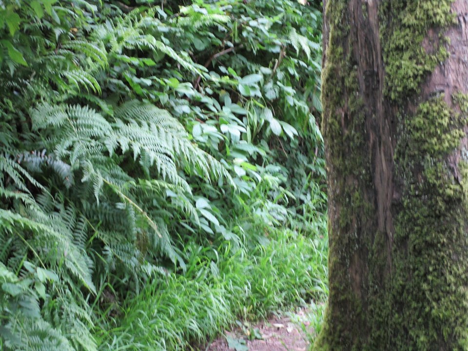 61378691_10218957725200420_1180660928845185024_n