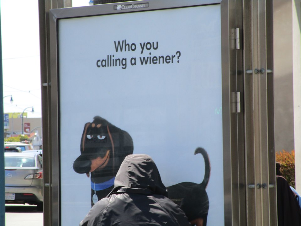 61538676_10218957731400575_6238288539713273856_n