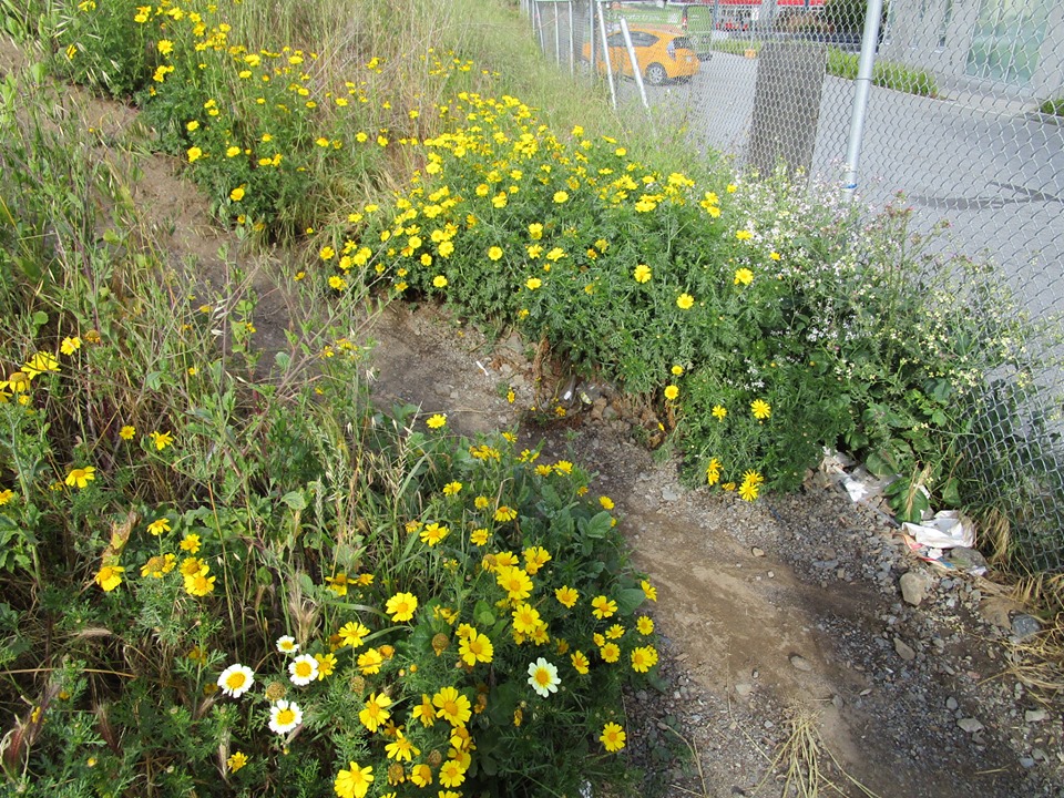 61599534_10218957735960689_3268619096081563648_n