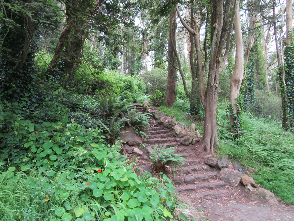 61665446_10219011901114784_3330069795935617024_n