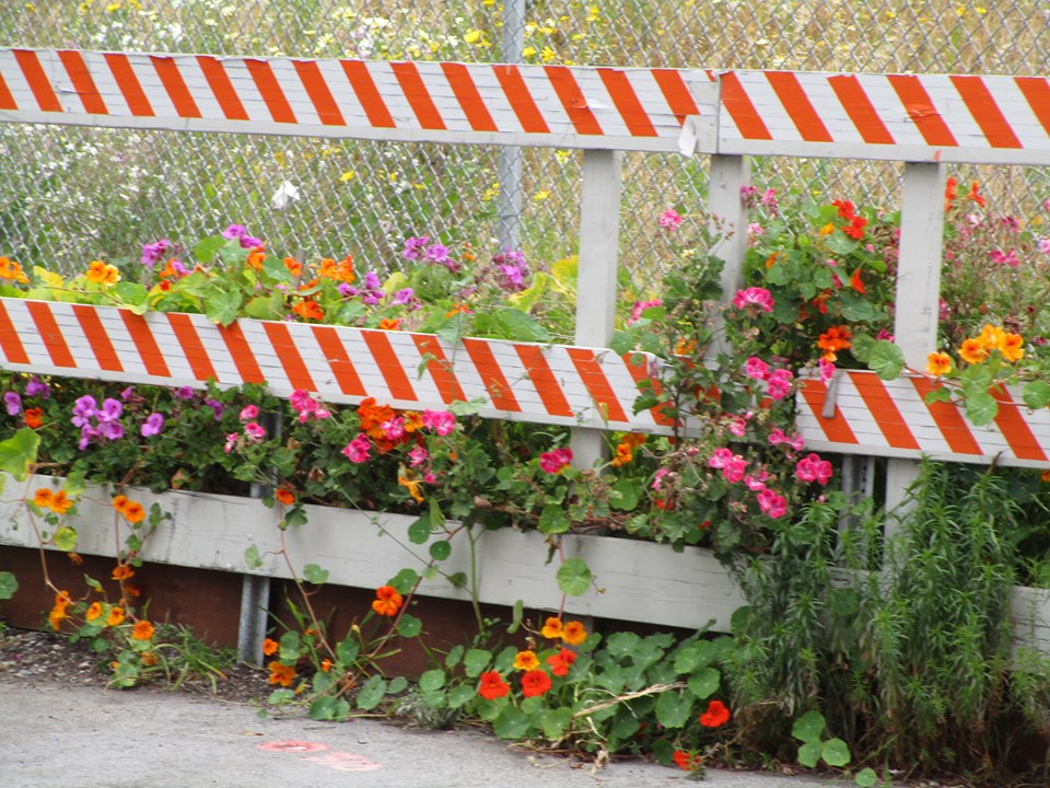 62159706_10219011900114759_3807061807198109696_n