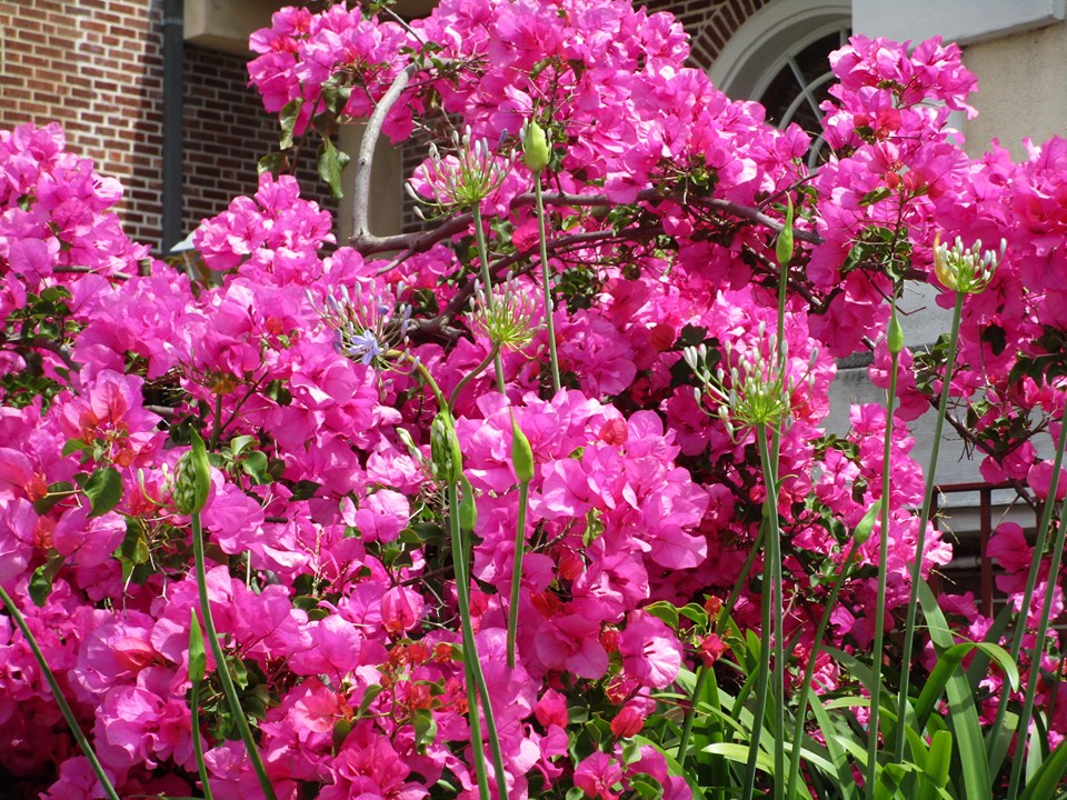 64490979_10219152494989543_162107776741408768_n