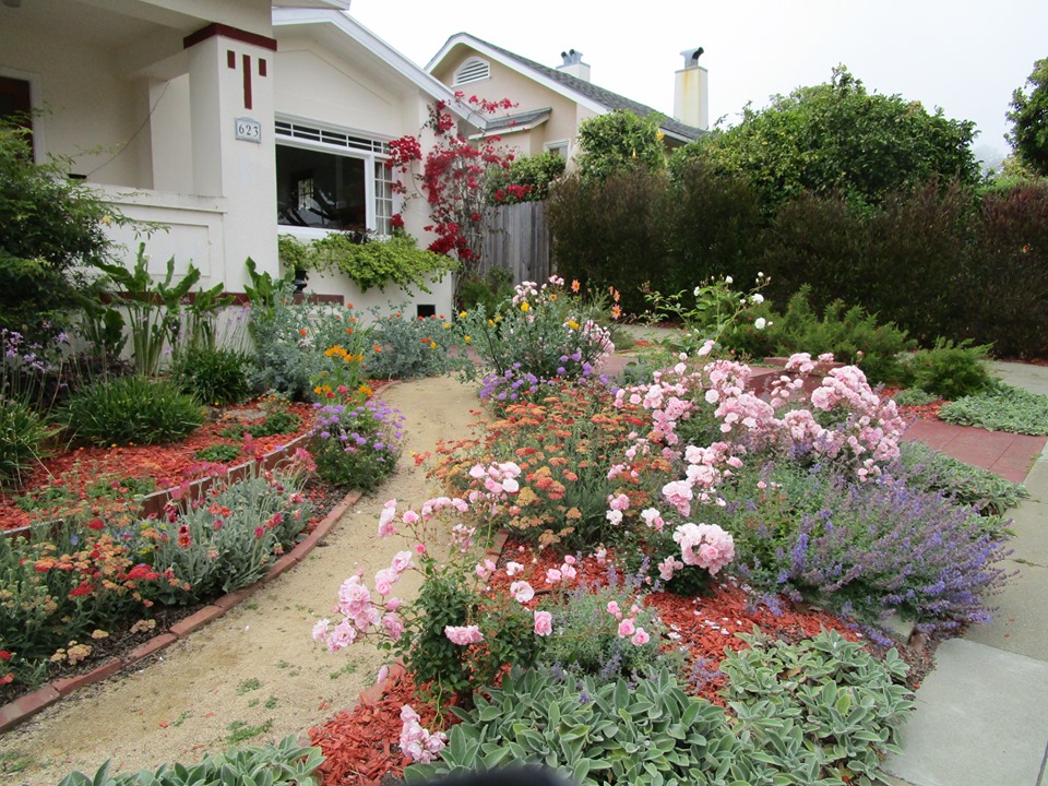 64596587_10219152461588708_3674547192644763648_n