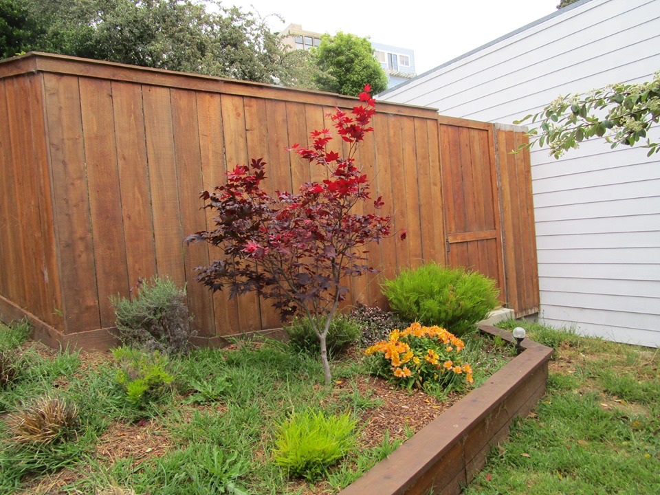 64655902_10219152479869165_7364019757420380160_n