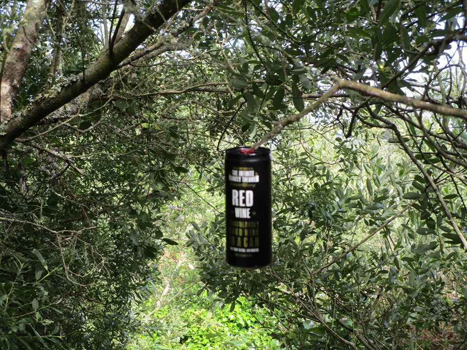 64787601_10219152458868640_5492350319234908160_n