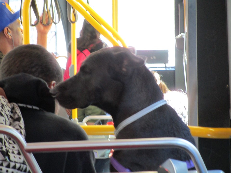 64839265_10219152500229674_1744354757717262336_n