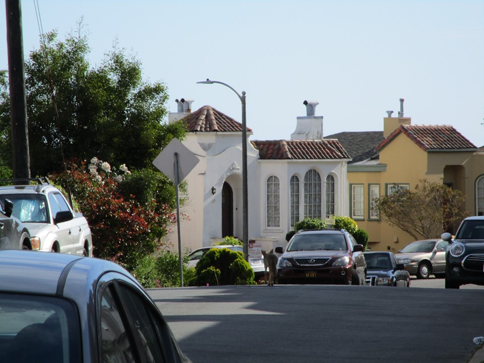 65054144_10219152503749762_1299019756392677376_n