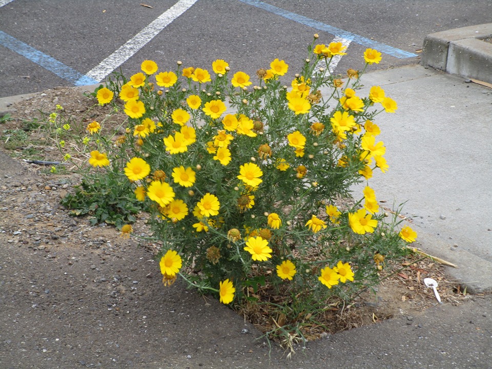 65204812_10219152477909116_8571948849512316928_n