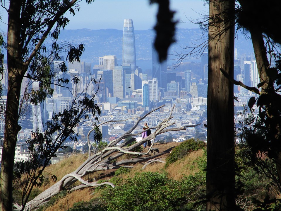 65308354_10219225709939871_6690494659782770688_n