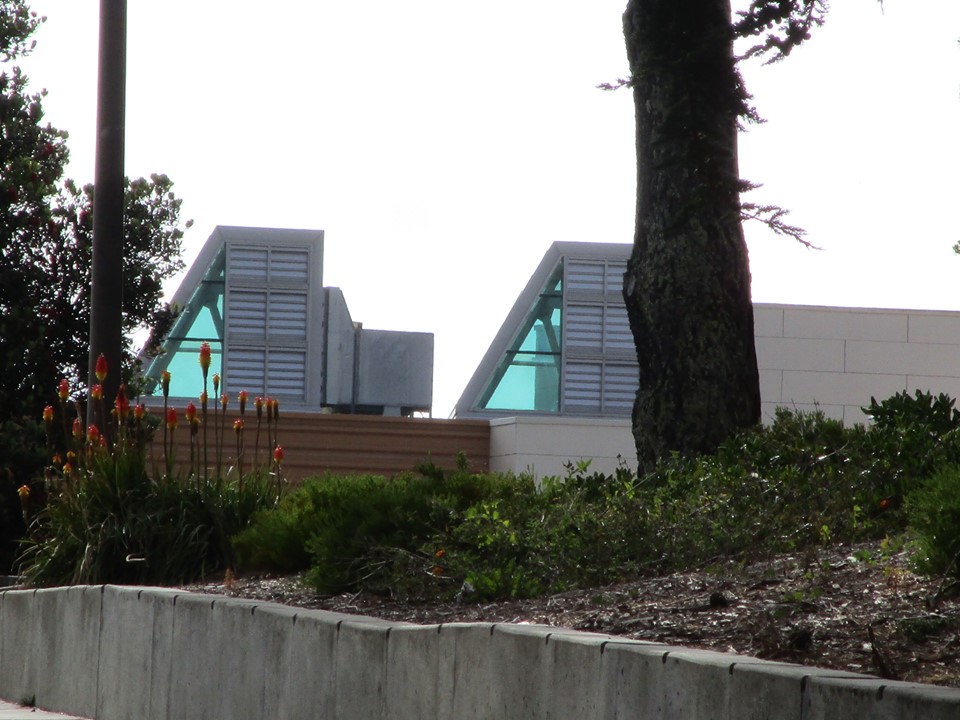 65506332_10219225719100100_8557845963618648064_n