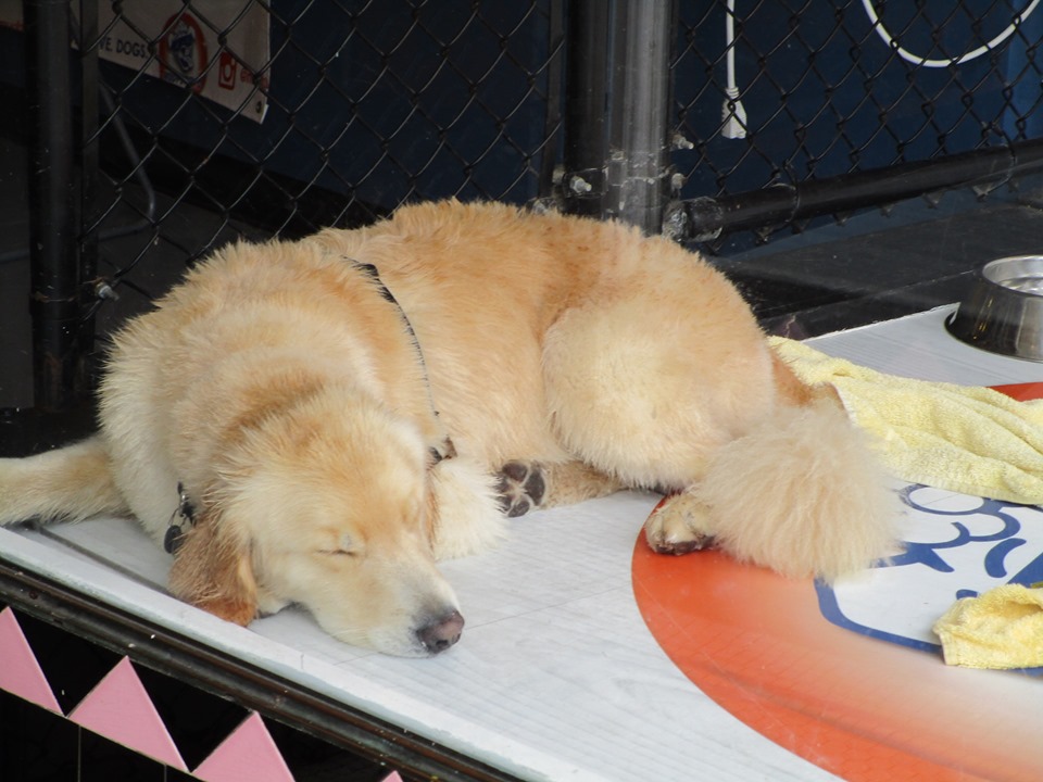 65524408_10219225721340156_9110499613416095744_n