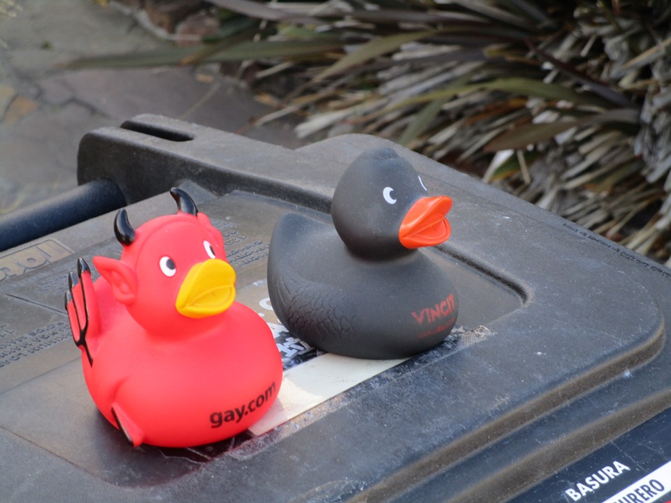 65823498_10219225710739891_2917377392169189376_n