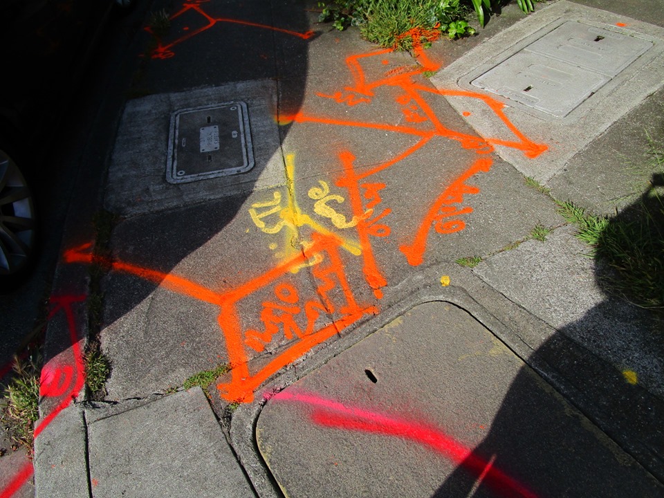 66311028_10219322734165416_5733427447739711488_n