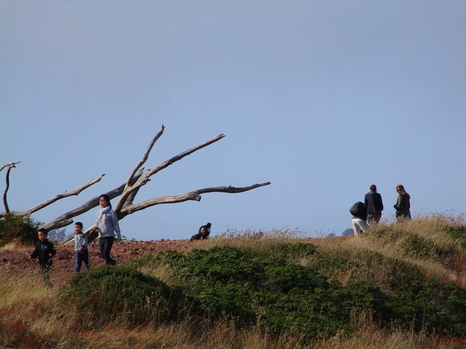 66373705_10219322734725430_622536083418120192_n