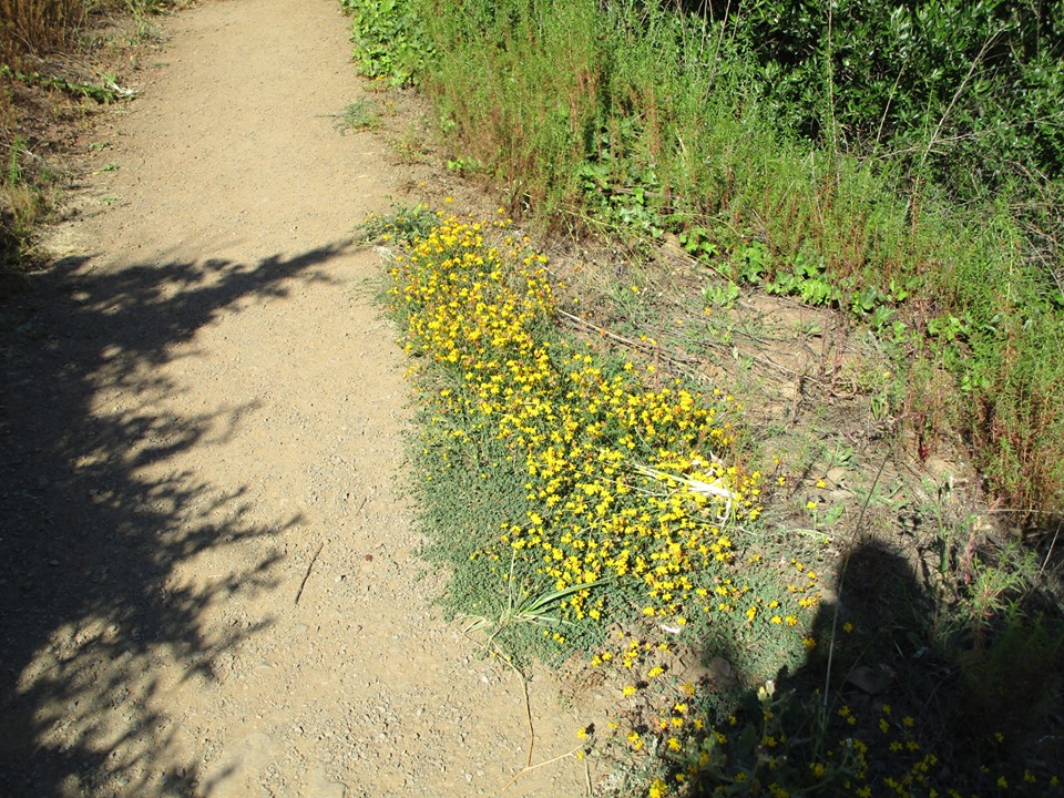 66455429_10219322748245768_2536028723426099200_n