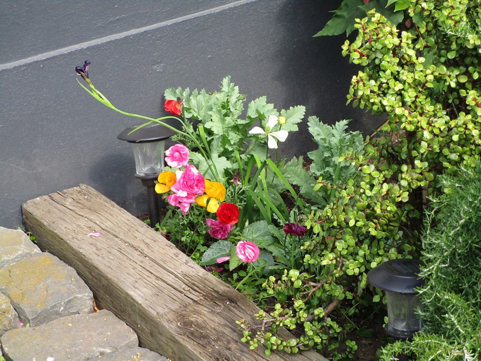 66475175_10219322742845633_6128750217782099968_n