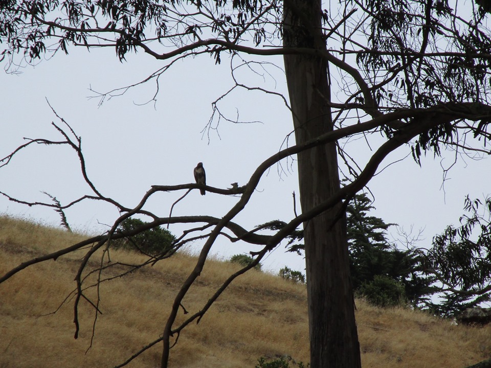 66649724_10219322728605277_1135415956642725888_n