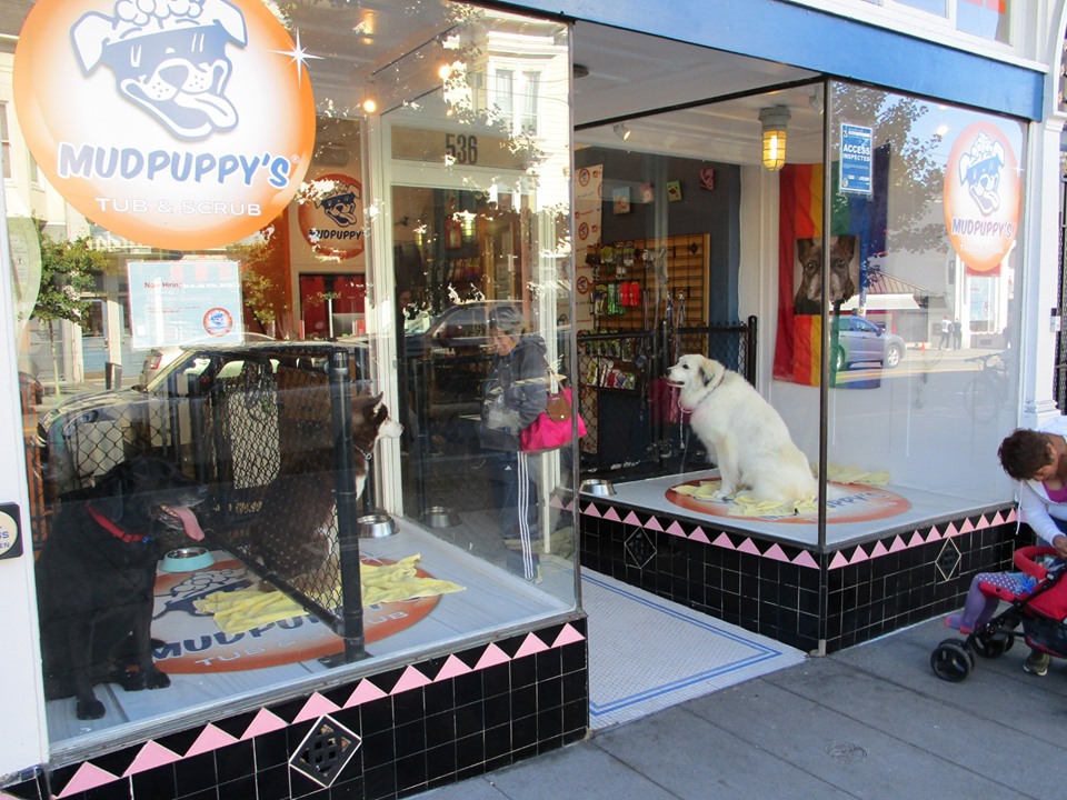 67080660_10219421141265532_3461618751516966912_n