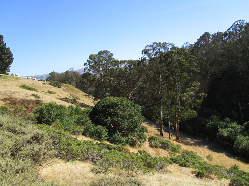 67113880_10219378006987202_2442738619257978880_n