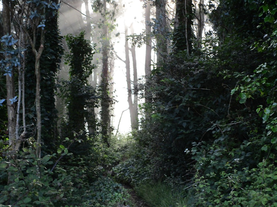 67165052_10219378000467039_6855195669058027520_n