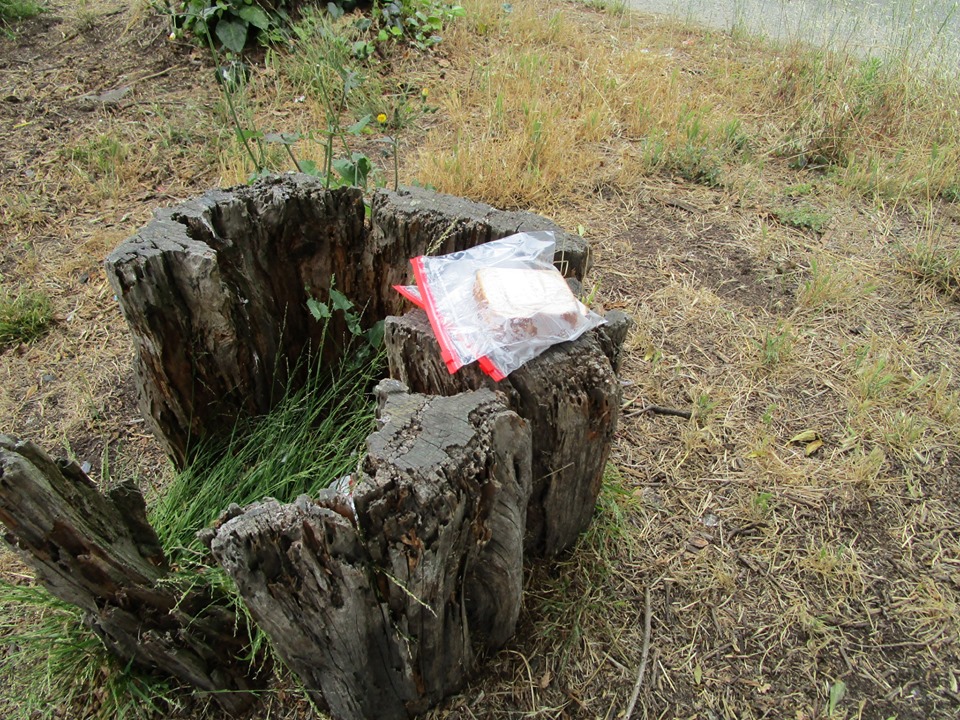 67222042_10219421137545439_4765432705024262144_n