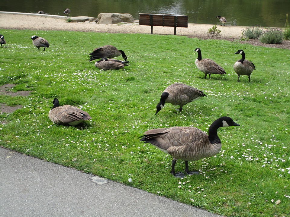 67419709_10219503883454035_7774058558592647168_n