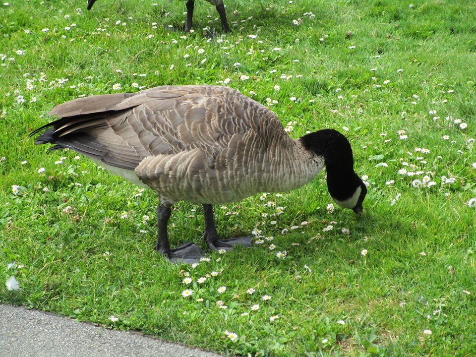 67441706_10219503885294081_5080486199911514112_n-2