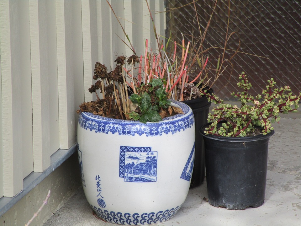 67469119_10219503895654340_4397983327840108544_n