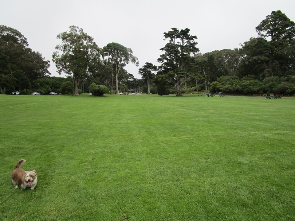 67499111_10219503888734167_7766498458373980160_n