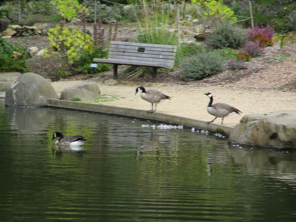 67564667_10219503886814119_3542033114962329600_n