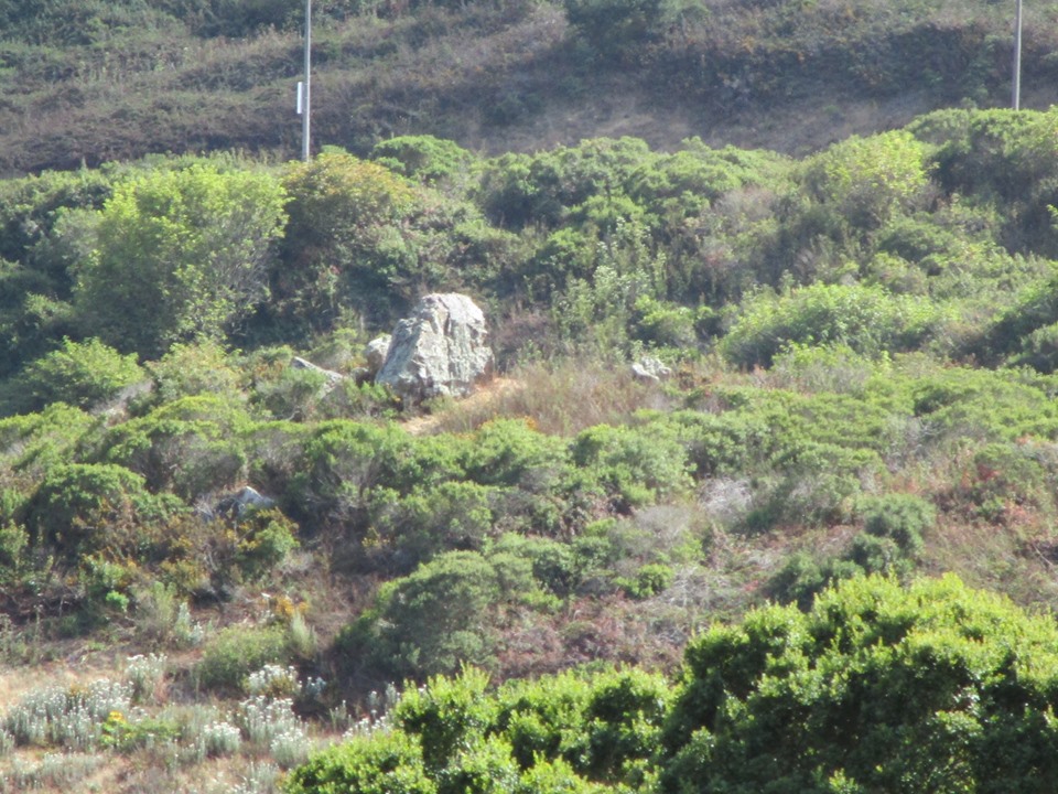 67662186_10219503920334957_1102254612934557696_n