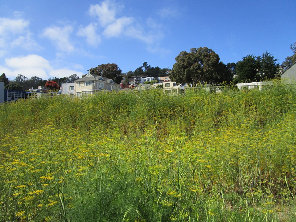 67674825_10219503891814244_7400620463694544896_n