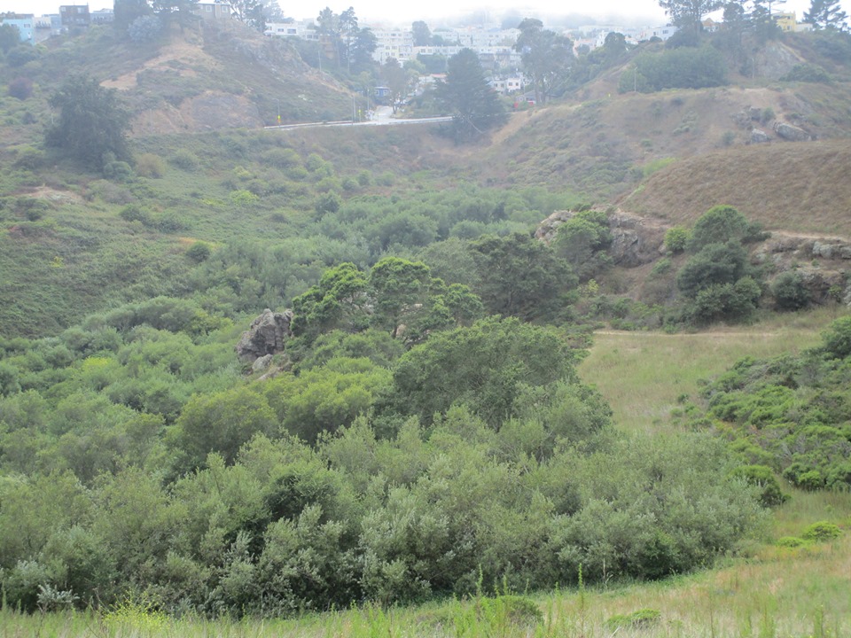 67801699_10219587544385506_4706840902906150912_n