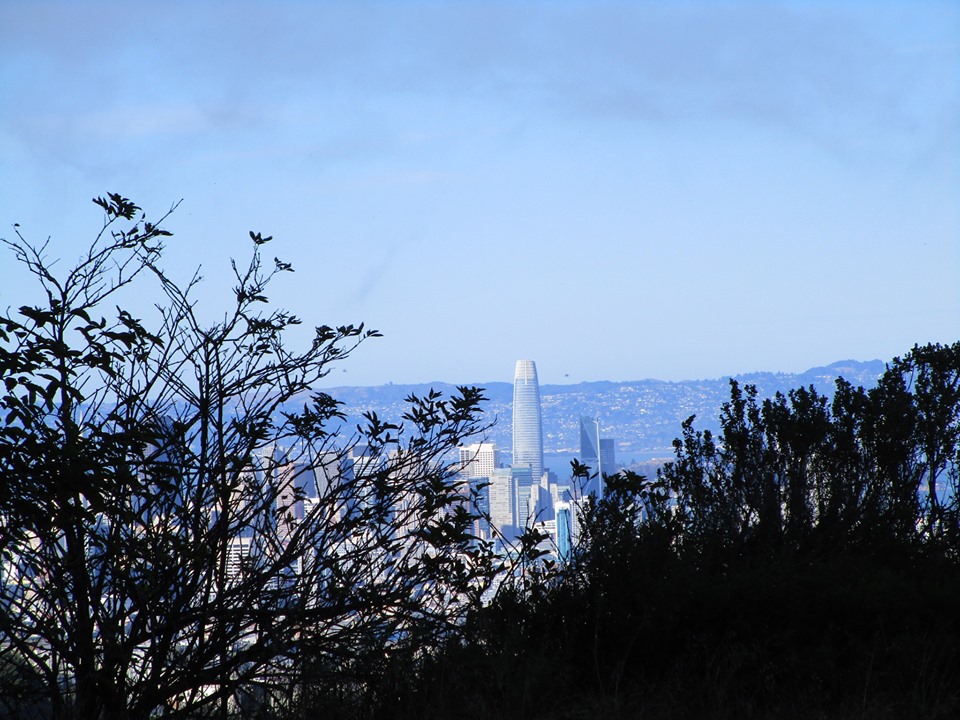 67813800_10219587522864968_2320643410681135104_n