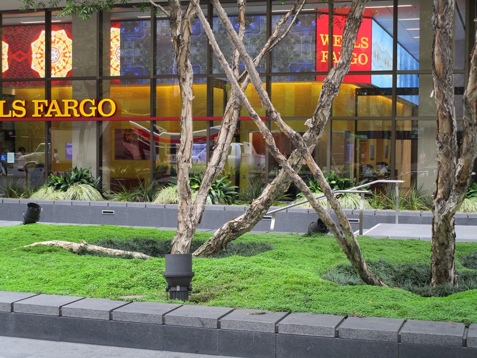 67846231_10219587535985296_1298217636890411008_n