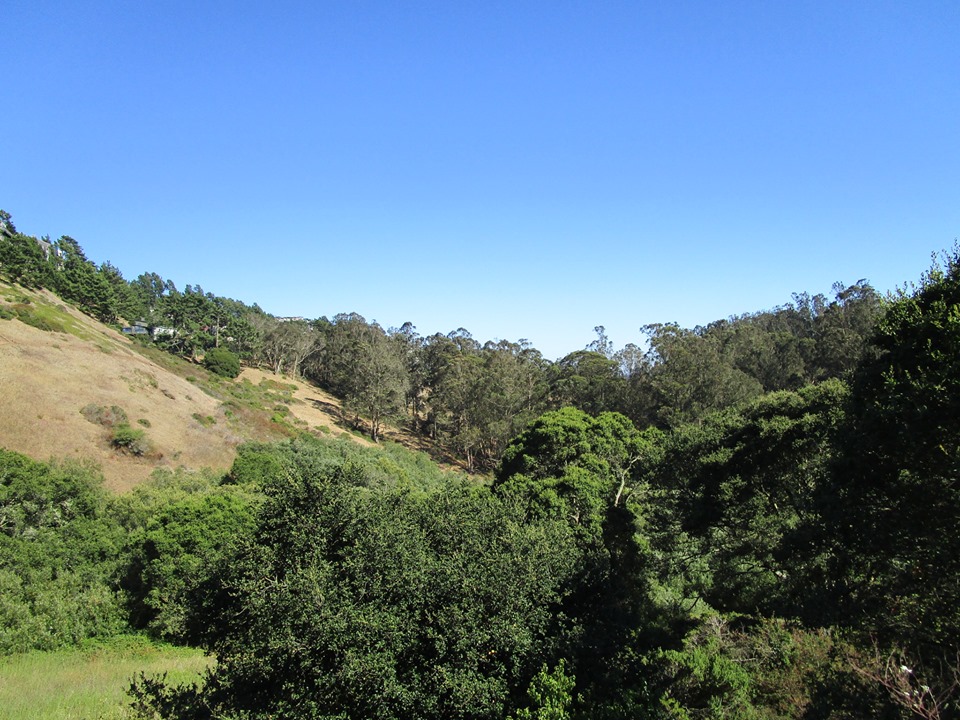 67915663_10219503900694466_473326419884113920_n