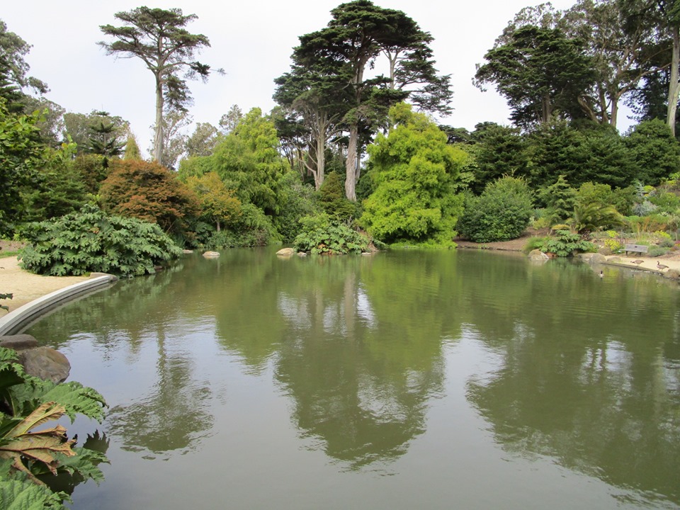 68387622_10219503884774068_4672127645780017152_n