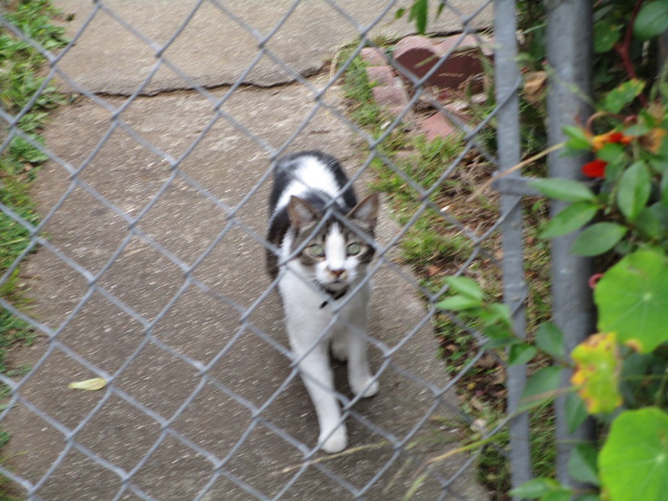 68442717_10219587517624837_8368697098551427072_n