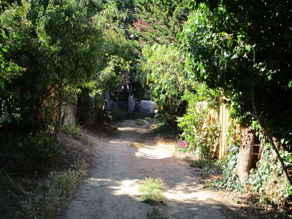 68528641_10219587525265028_2584267567006744576_n