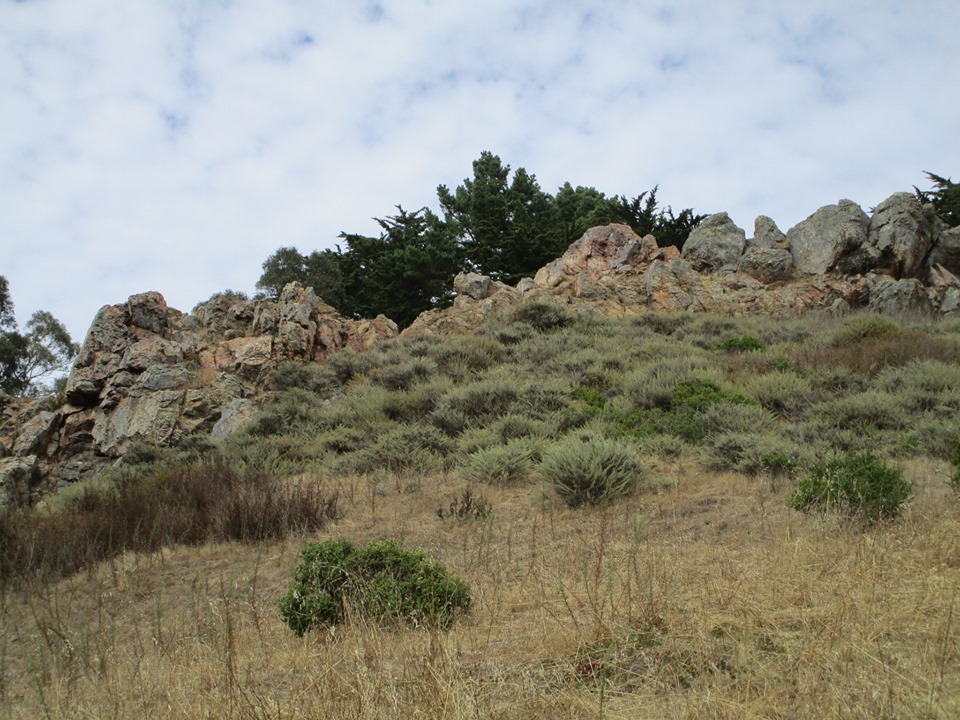 68560446_10219587545465533_7363487830015737856_n