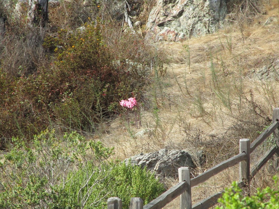 69265365_10219587518584861_5404783611176026112_n