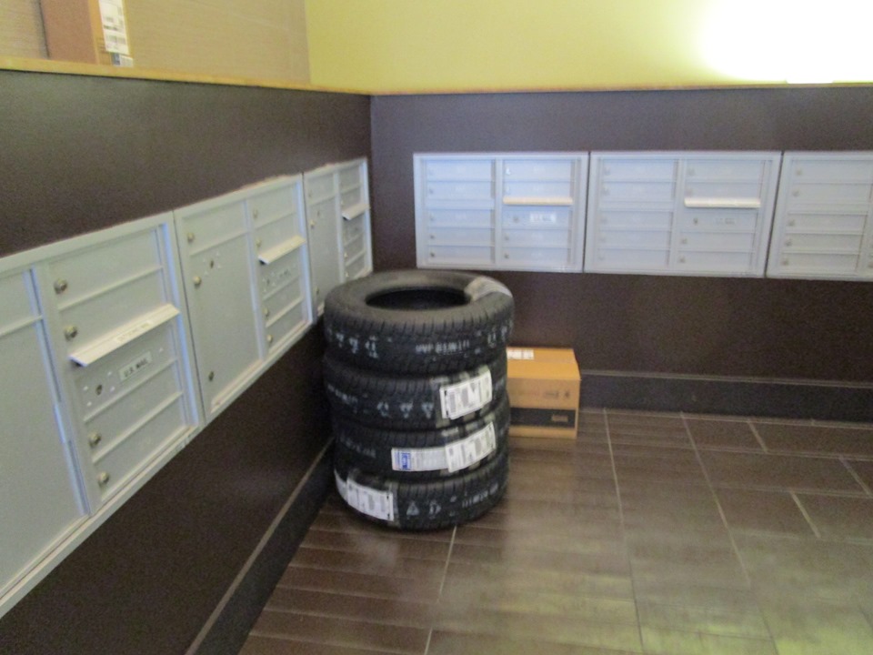 69584354_10219698876128730_2846392045306642432_n