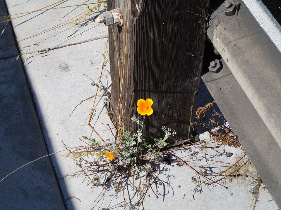 68902149_10219698909329560_1146554533418106880_n