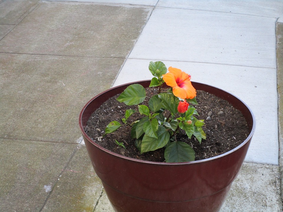 69129738_10219698902649393_6460225305377243136_n