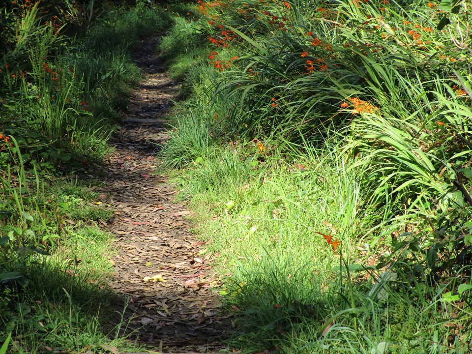 69206950_10219698899129305_1665200782489681920_n