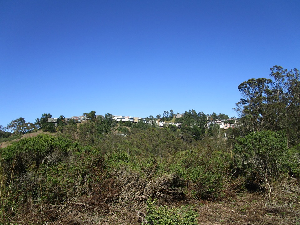 69333093_10219698897329260_7089012017909989376_n