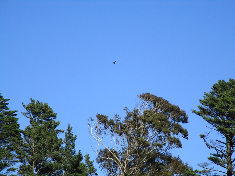 69360062_10219698907889524_4400507115047747584_n