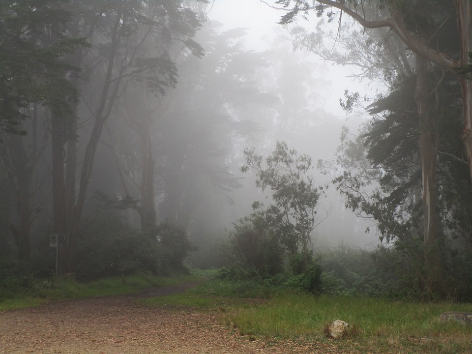 69569154_10219804737015186_6124688467210272768_n