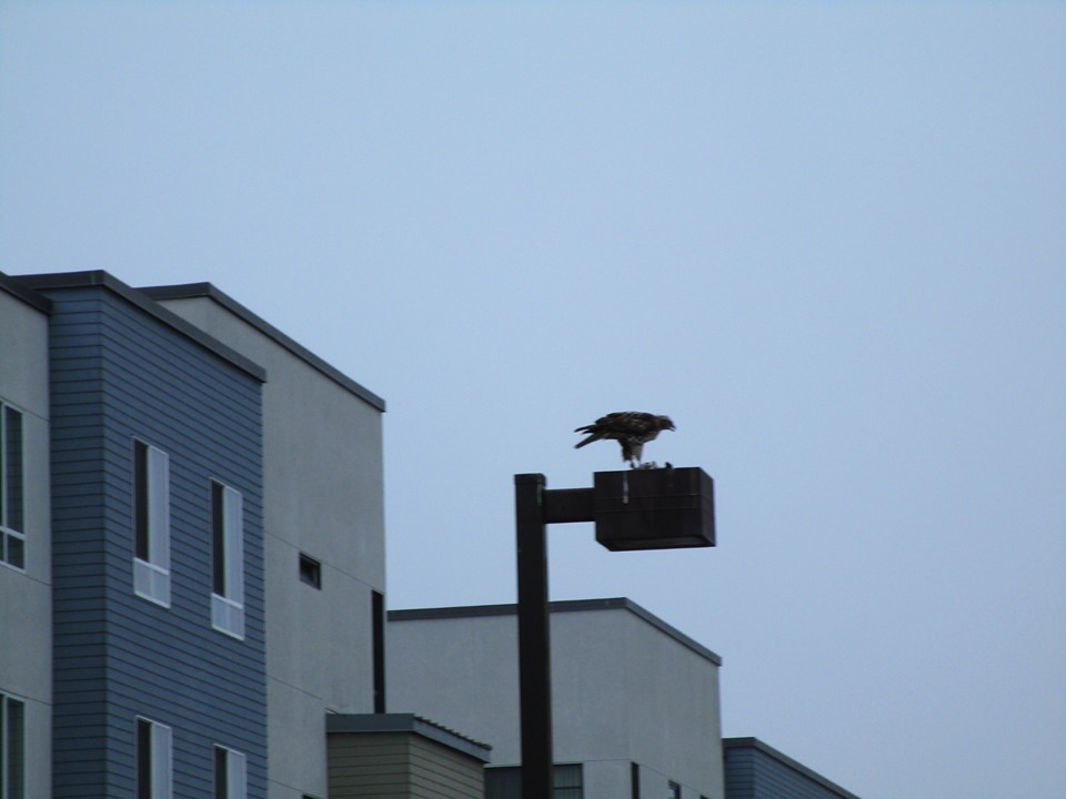 69590870_10219804741855307_8593575925403090944_n